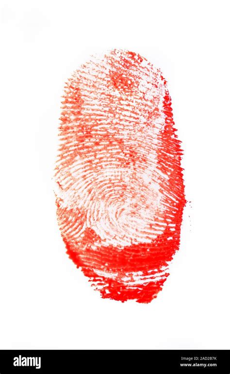 does the autoclave destroy fingerprints|fingerprints found in crime scene.